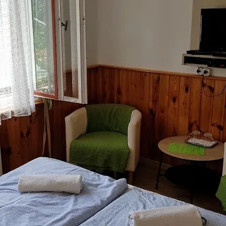 Panzio Guest house 2*