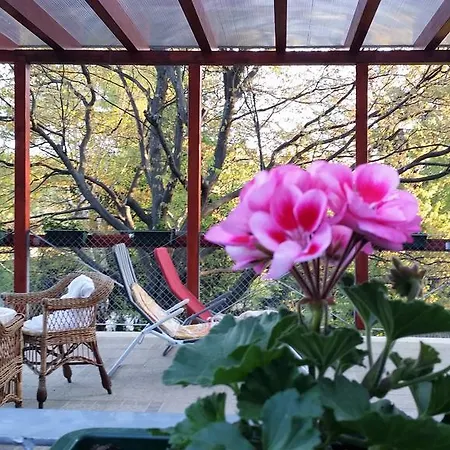Guest house Panzio 2*