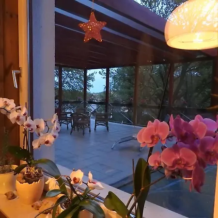 Guest house Panzio