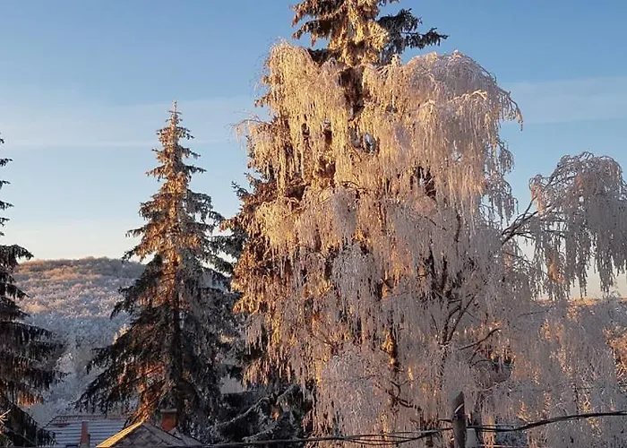招待所 玛尔塔泽提米勒潘齐奥旅馆 马蒂森蒂姆